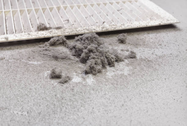 Best Affordable HVAC Duct Cleaning  in Lebanon, IN